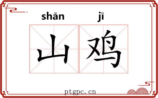 山鸡