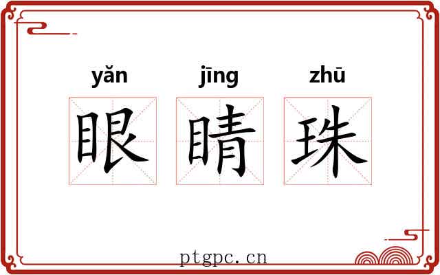 眼睛珠
