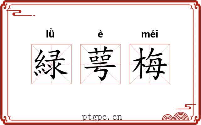 緑萼梅