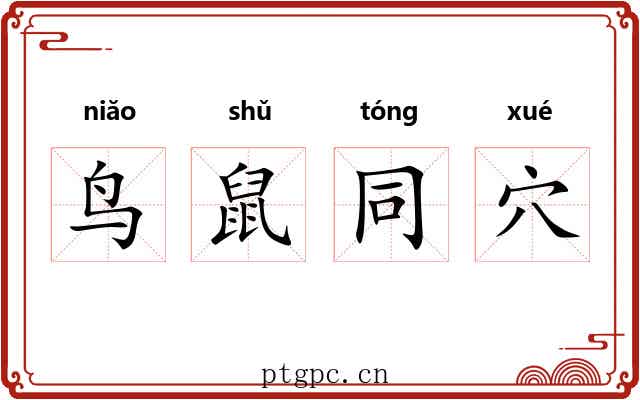 鸟鼠同穴