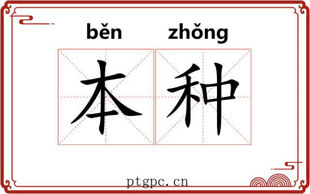 本种 本种