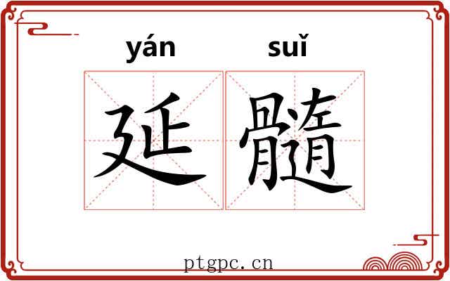 延髓 延髓