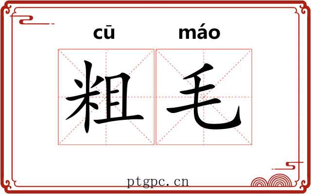 粗毛