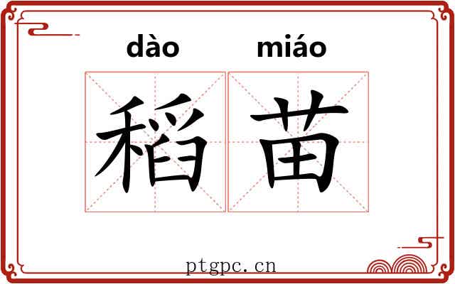 稻苗 稻苗