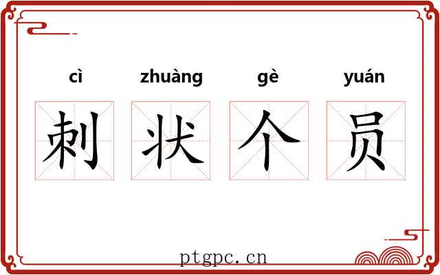 刺状个员