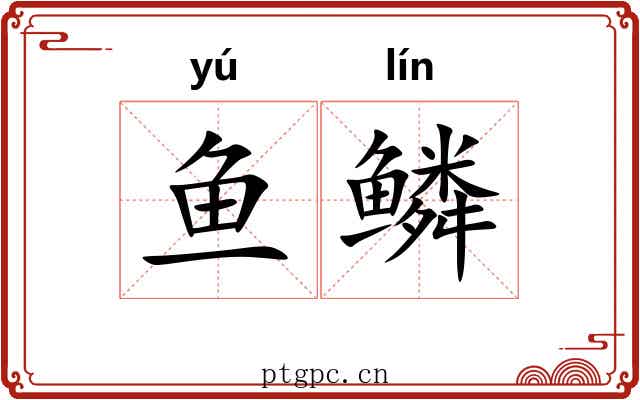 鱼鳞