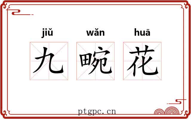 九畹花