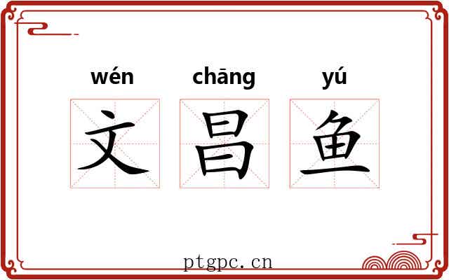 文昌鱼 文昌鱼