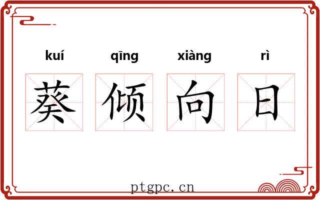 葵倾向日 葵倾向日