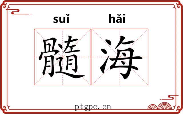 髓海 髓海
