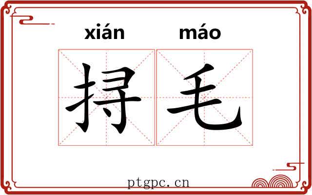挦毛