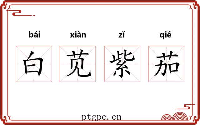 白苋紫茄 白苋紫茄