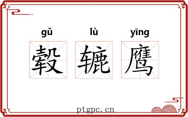 毂辘鹰