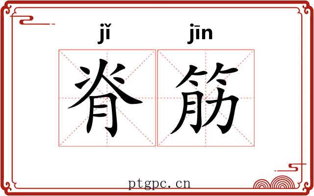 脊筋