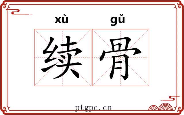 续骨