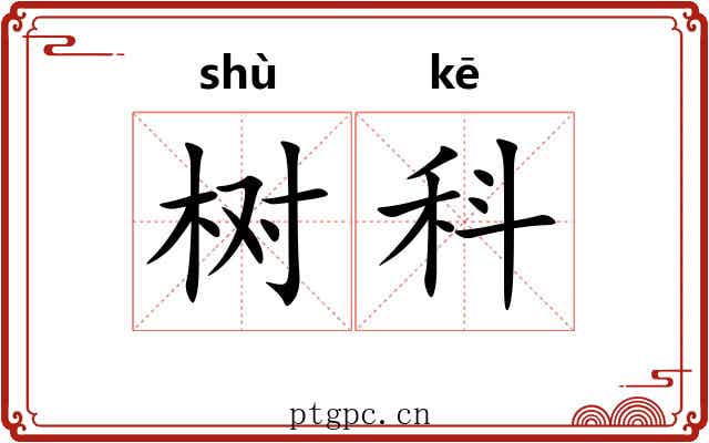 树科 树科