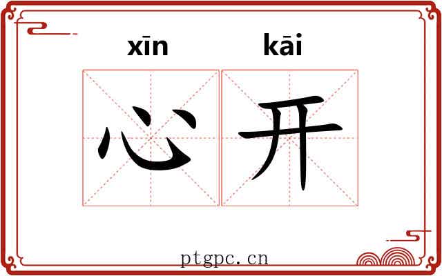 心开