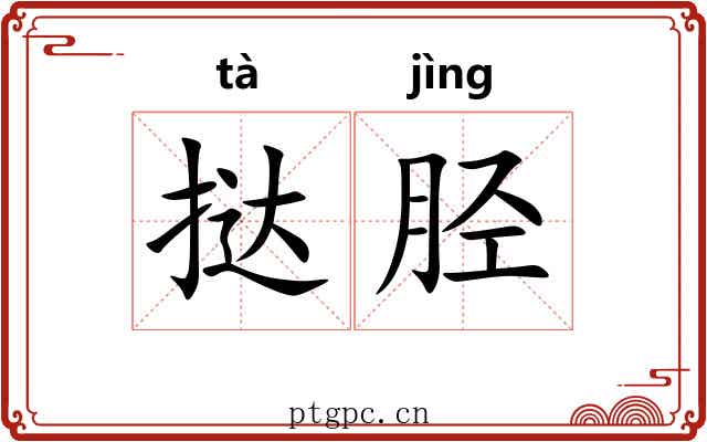 挞胫