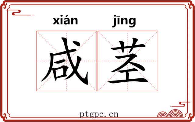 咸茎
