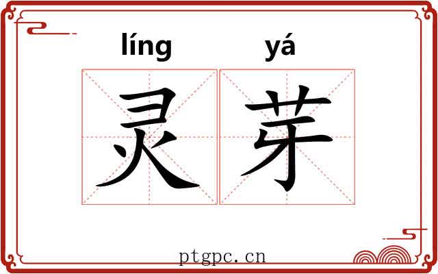 灵芽