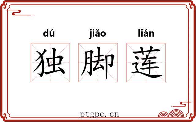 独脚莲