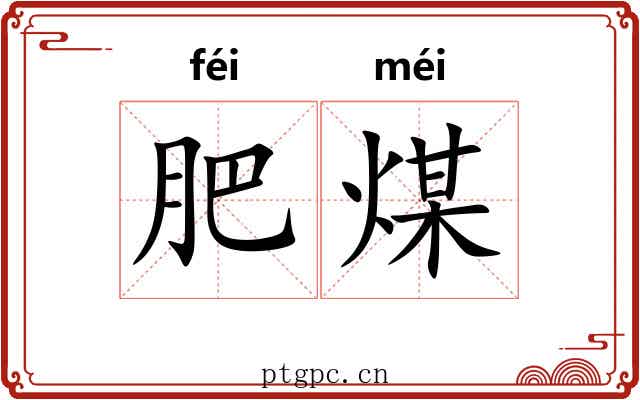 肥煤