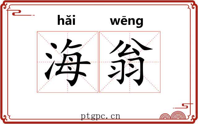 海翁 海翁