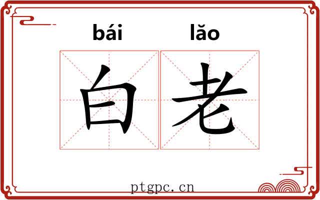 白老