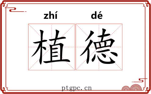 植德