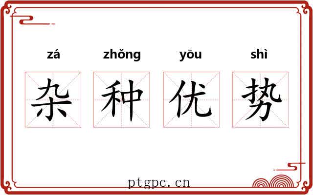 杂种优势