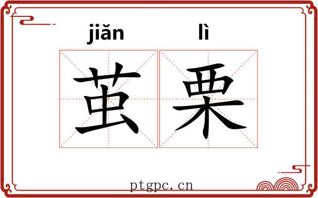 茧栗