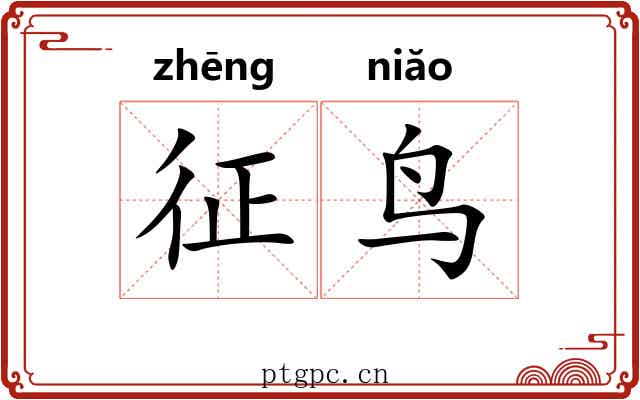 征鸟