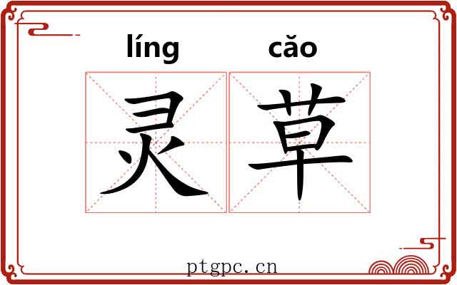 灵草