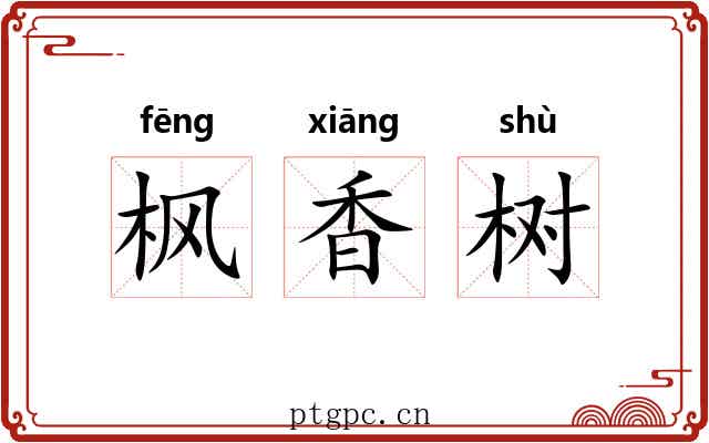 枫香树
