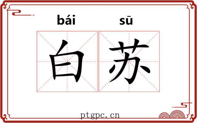 白苏 白苏
