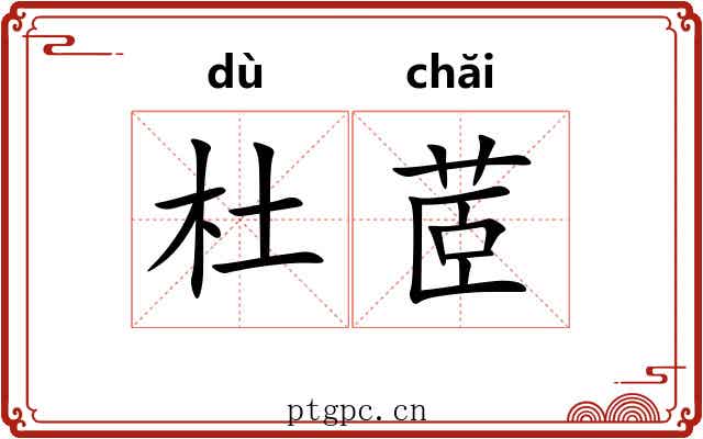 杜茝