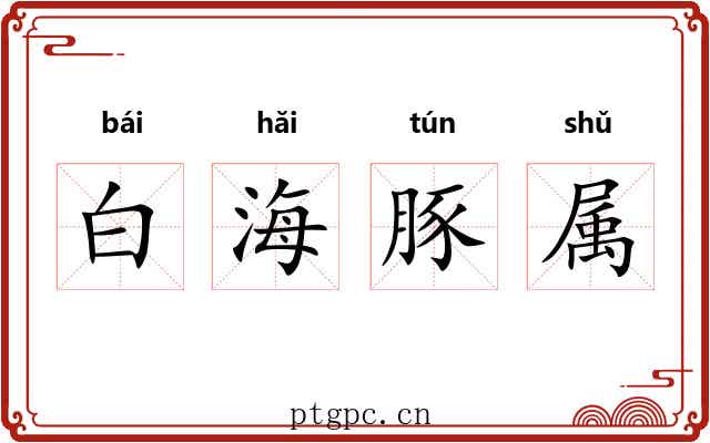 白海豚属