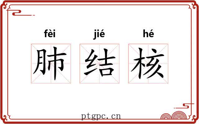 肺结核 肺结核