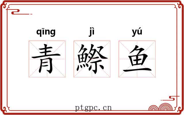 青鰶鱼