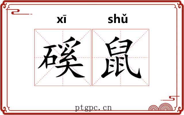 磎鼠