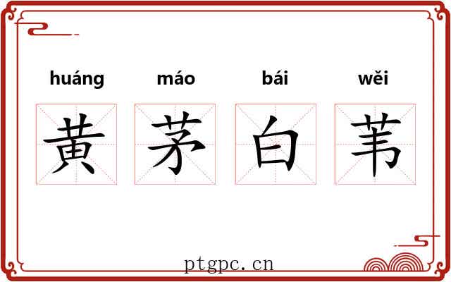 黄茅白苇 黄茅白苇