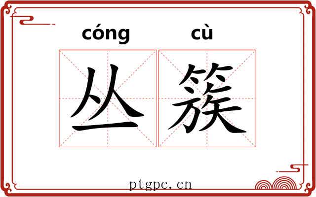 丛簇