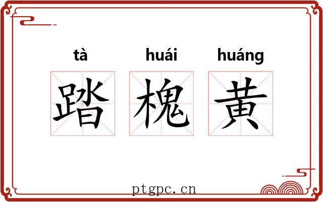 踏槐黄 踏槐黄