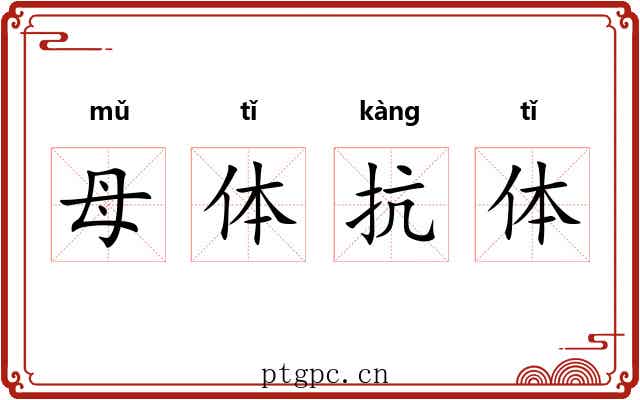 母体抗体