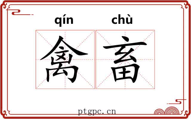 禽畜