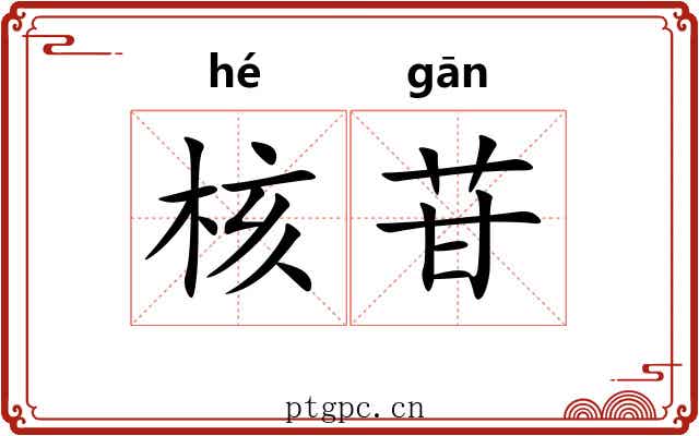 核苷