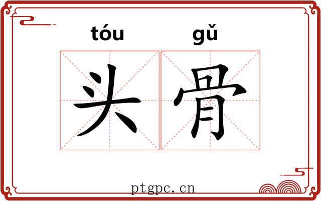 头骨 头骨