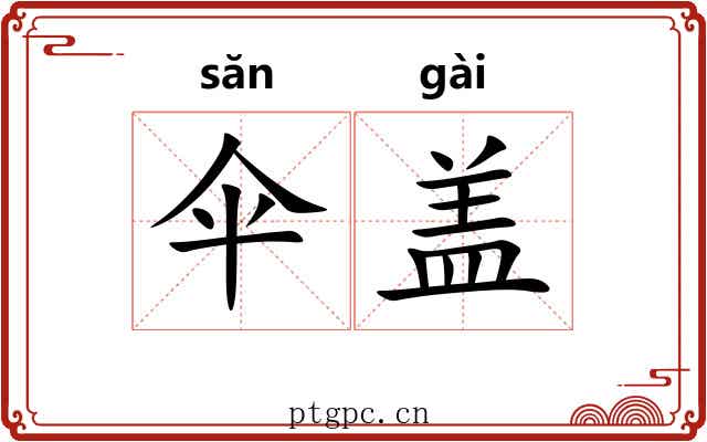 伞盖 伞盖