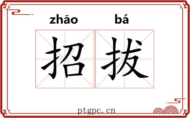 招拔