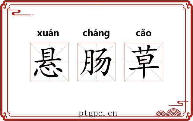 悬肠草